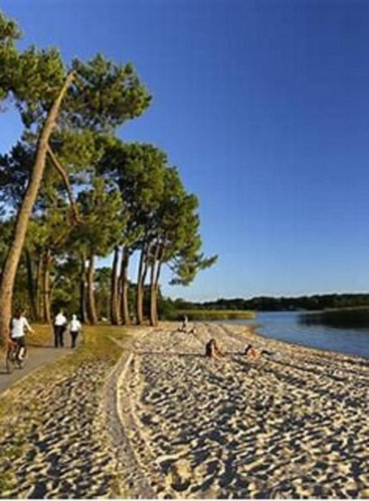 Agreable Maison A 400M Du Lac Βίλα Sanguinet Εξωτερικό φωτογραφία